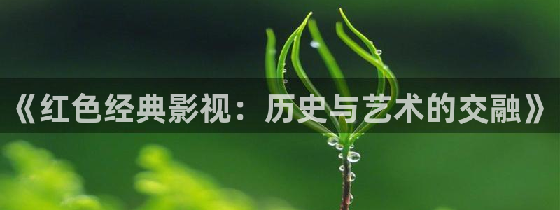 黑螞蟻影院免費影視大全