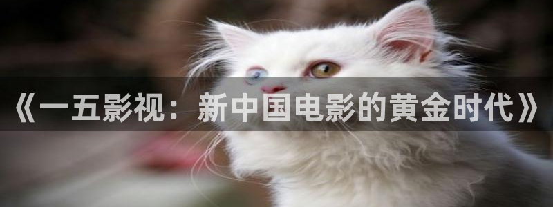 黑螞蟻影院在線觀看全集免費觀看：《一五影視：新中國電影的黃金時代》