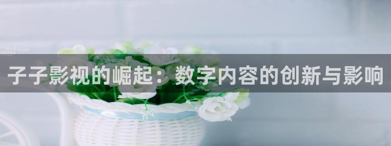電視劇 黑螞蟻：子子影視的崛起：數字內容的創新與影響