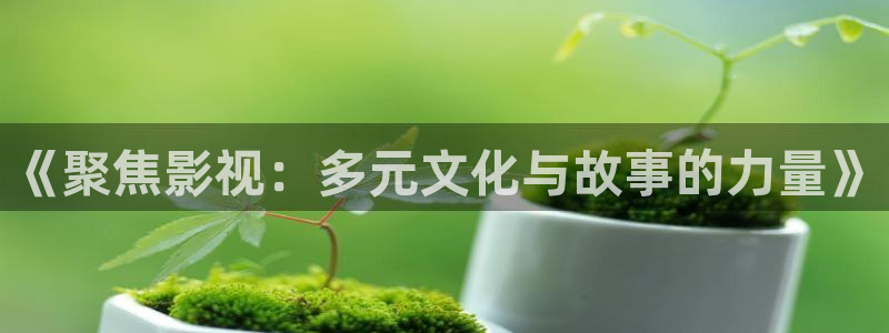 黑螞蟻影視劇大全：《聚焦影視：多元文化與故事的力量》